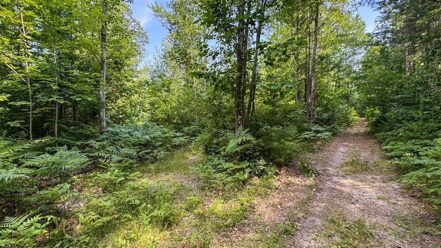 180 E Sanborn Road, Lake City, MI 49651