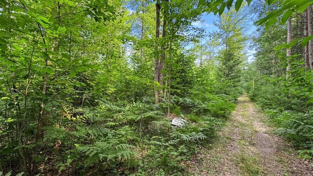 180 E Sanborn Road, Lake City, MI 49651