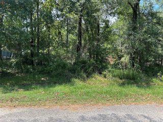TBD Belize Drive, Point Blank, TX 77364