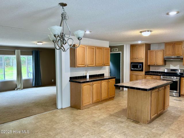 111 Willow Pond Drive, Hamlet, NC 28345