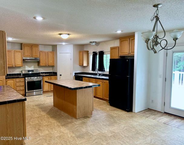 111 Willow Pond Drive, Hamlet, NC 28345