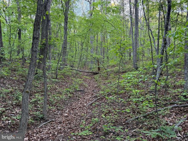 281 BOOTS HILL LANE, Gore, VA 22637