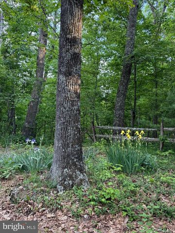 281 BOOTS HILL LANE, Gore, VA 22637