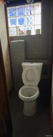 13134 Ilene Street, Detroit, MI 48238