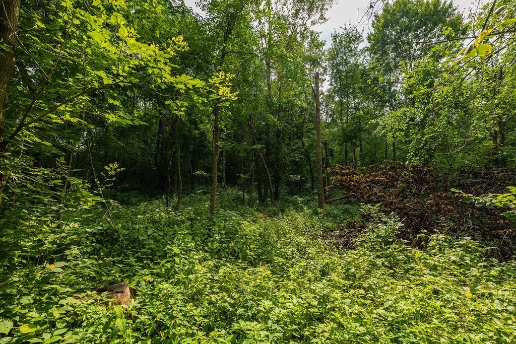 Image 10 of property listing at 0 County Road J, Mondovi, WI 54755