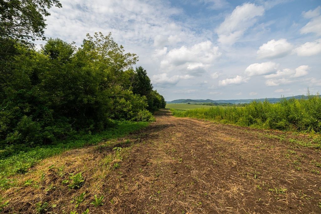 Image 11 of property listing at 0 County Road J, Mondovi, WI 54755