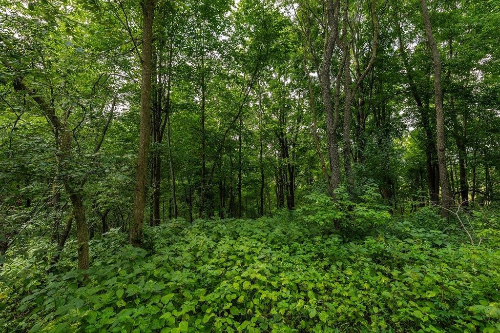 Image 12 of property listing at 0 County Road J, Mondovi, WI 54755