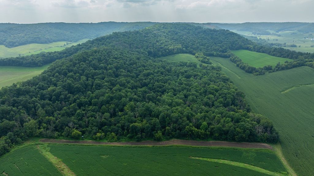 Image 13 of property listing at 0 County Road J, Mondovi, WI 54755