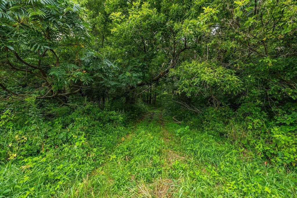 Image 15 of property listing at 0 County Road J, Mondovi, WI 54755