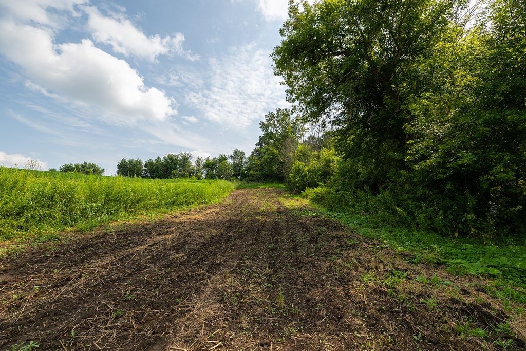Image 16 of property listing at 0 County Road J, Mondovi, WI 54755