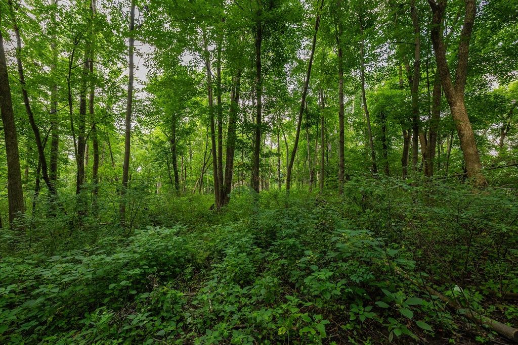 Image 17 of property listing at 0 County Road J, Mondovi, WI 54755