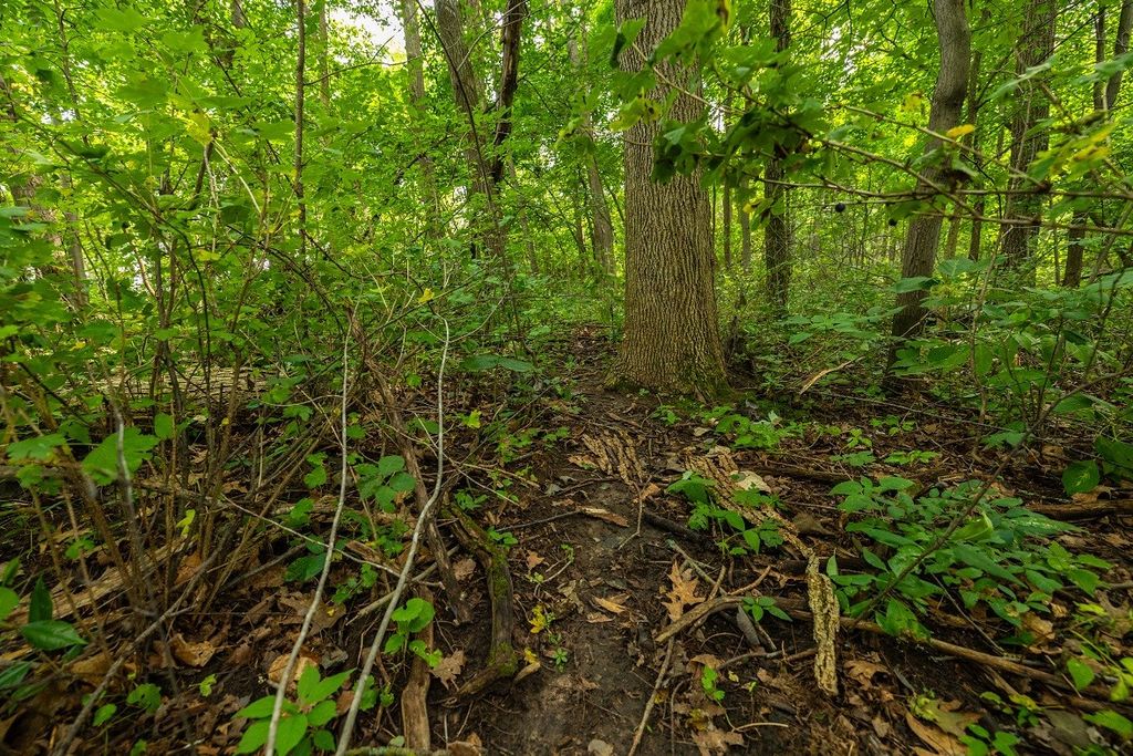 Image 20 of property listing at 0 County Road J, Mondovi, WI 54755