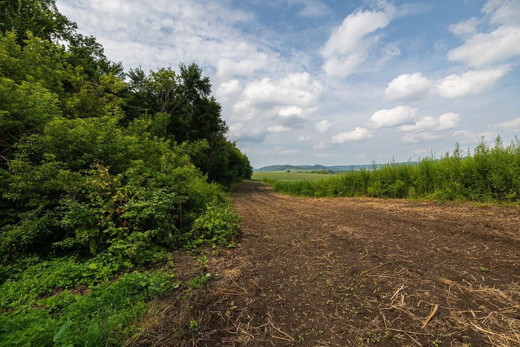 Image 21 of property listing at 0 County Road J, Mondovi, WI 54755