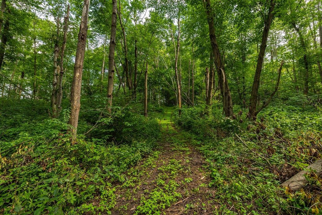 Image 22 of property listing at 0 County Road J, Mondovi, WI 54755