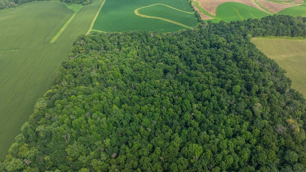 Image 24 of property listing at 0 County Road J, Mondovi, WI 54755