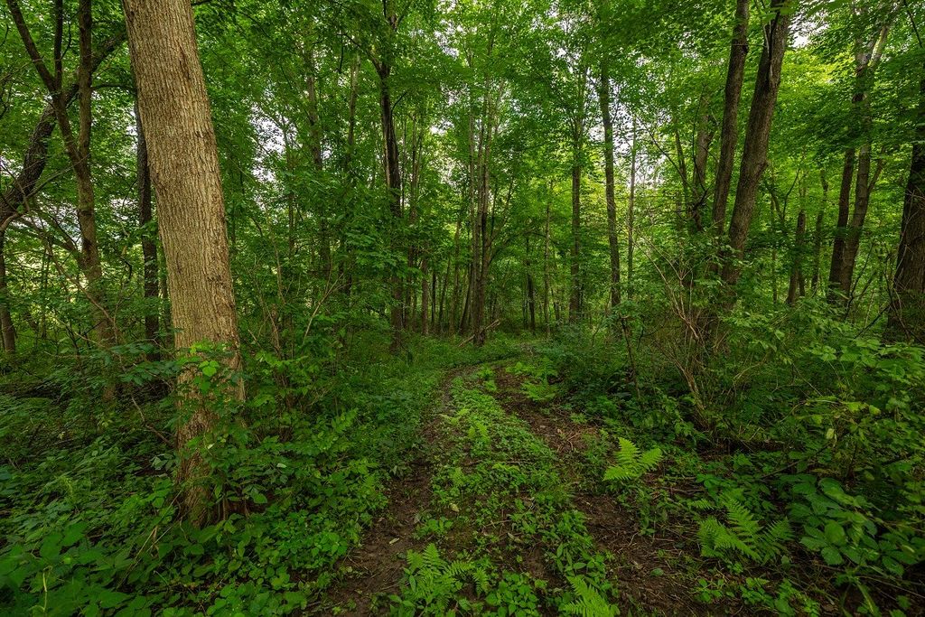 Image 25 of property listing at 0 County Road J, Mondovi, WI 54755