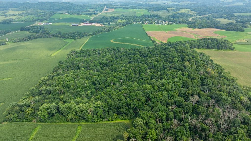 Image 26 of property listing at 0 County Road J, Mondovi, WI 54755