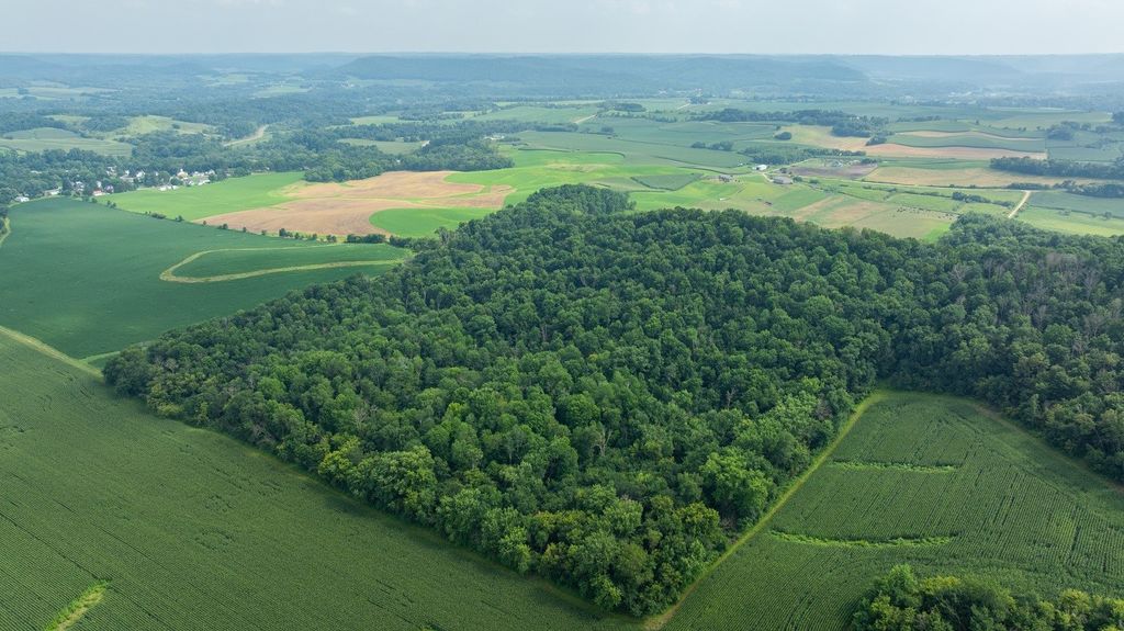 Image 29 of property listing at 0 County Road J, Mondovi, WI 54755