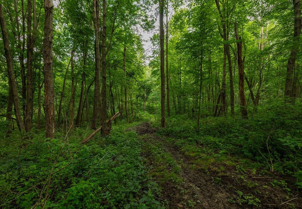 Image 30 of property listing at 0 County Road J, Mondovi, WI 54755