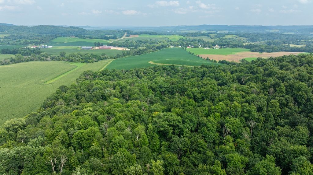 Image 31 of property listing at 0 County Road J, Mondovi, WI 54755