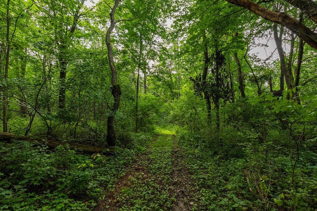 Image 32 of property listing at 0 County Road J, Mondovi, WI 54755