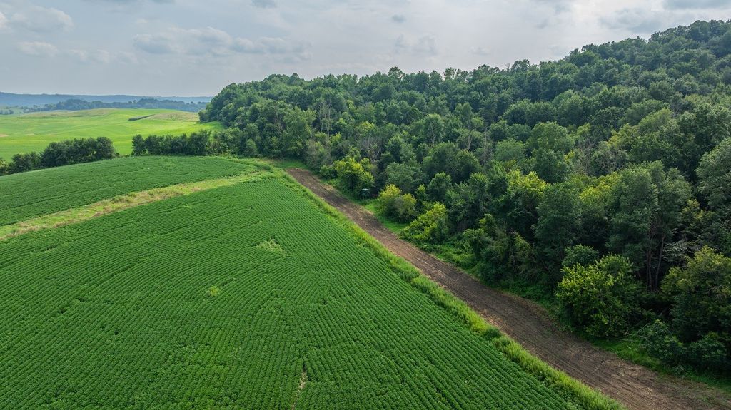 Image 35 of property listing at 0 County Road J, Mondovi, WI 54755