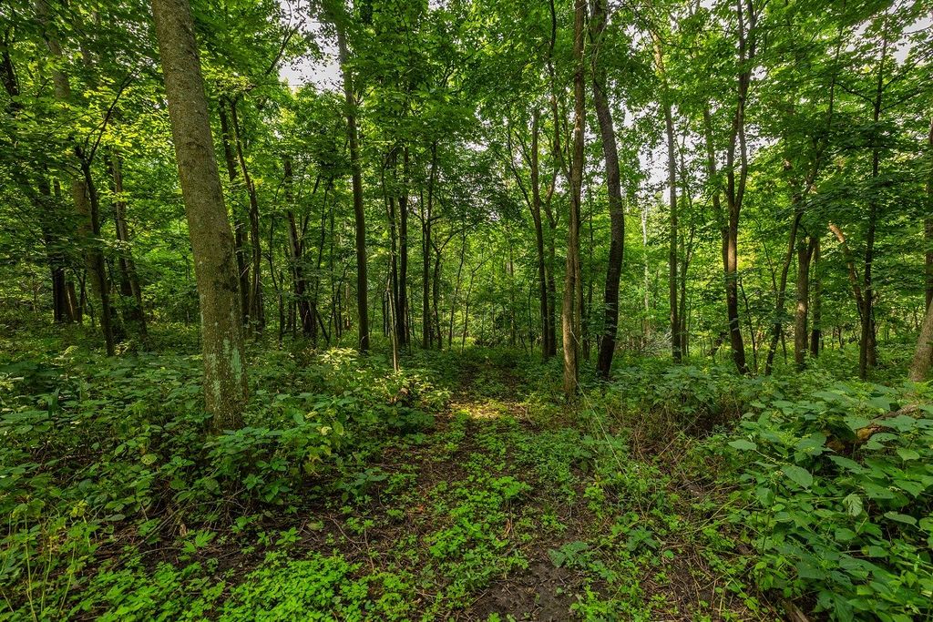 Image 42 of property listing at 0 County Road J, Mondovi, WI 54755