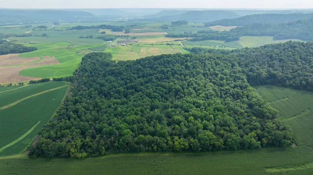Image 5 of property listing at 0 County Road J, Mondovi, WI 54755