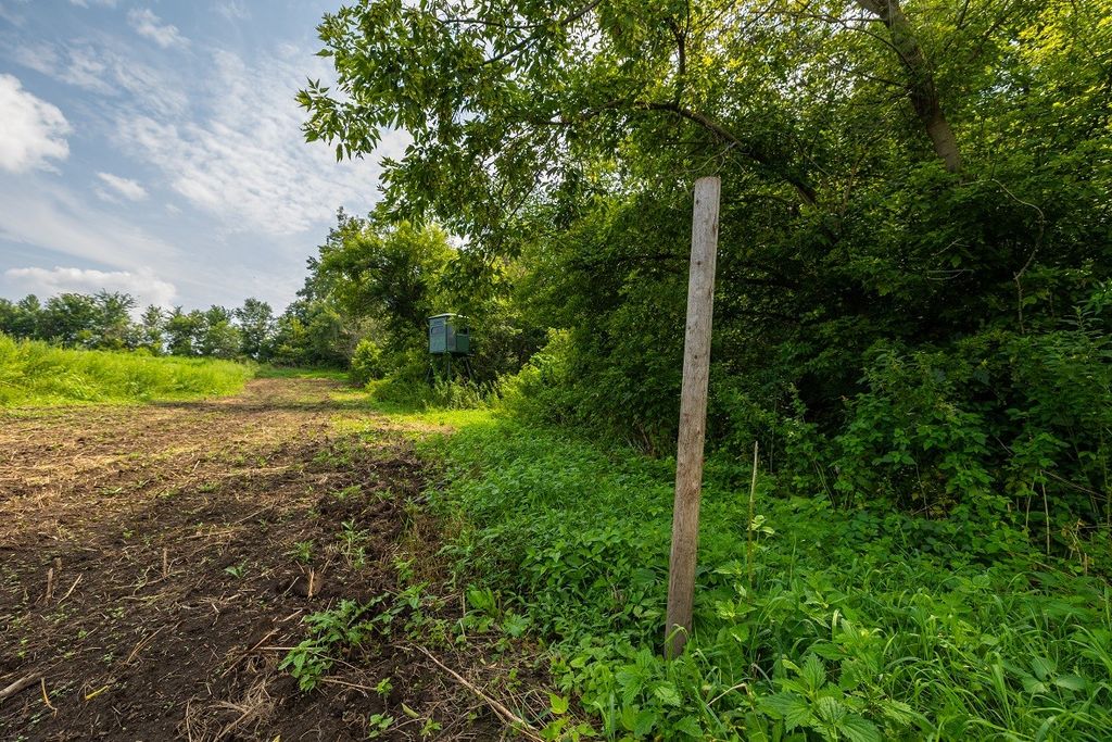Image 7 of property listing at 0 County Road J, Mondovi, WI 54755