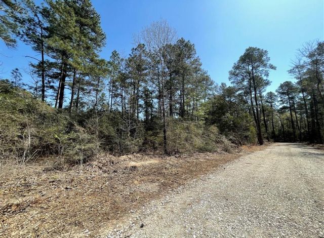 17040 E William Road, Conroe, TX 77303