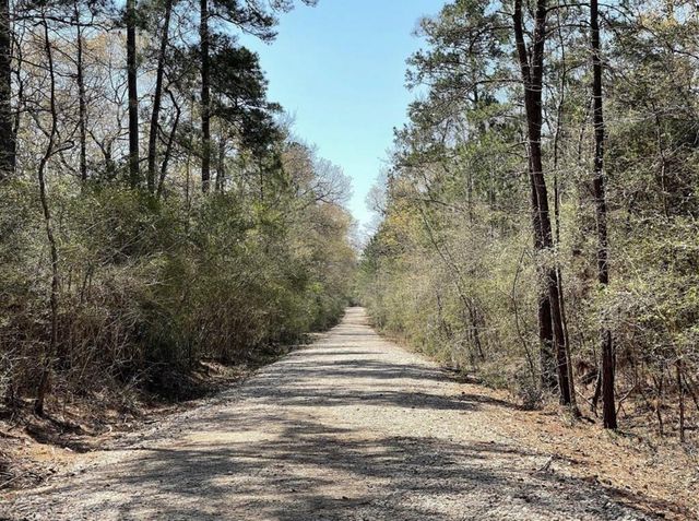 17040 E William Road, Conroe, TX 77303