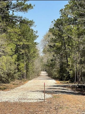 17040 E William Road, Conroe, TX 77303