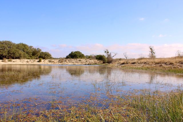 Lot 41 County Road 266, Gustine, TX 76455