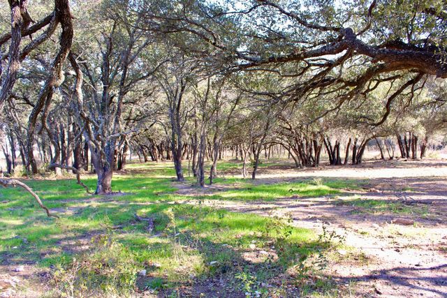 Lot 41 County Road 266, Gustine, TX 76455