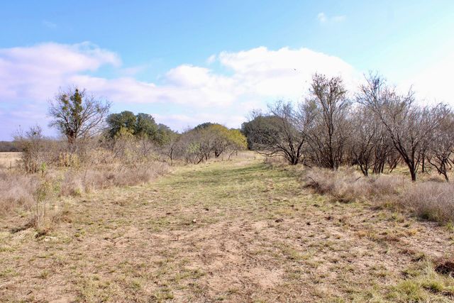Lot 41 County Road 266, Gustine, TX 76455