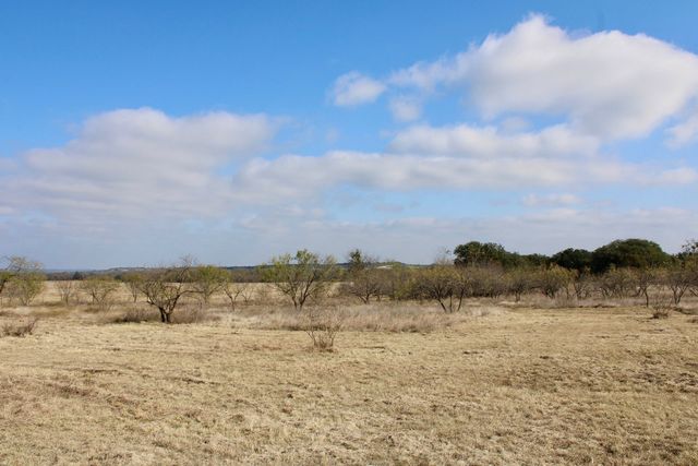 Lot 41 County Road 266, Gustine, TX 76455