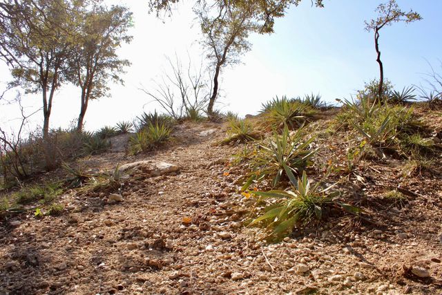 Lot 41 County Road 266, Gustine, TX 76455