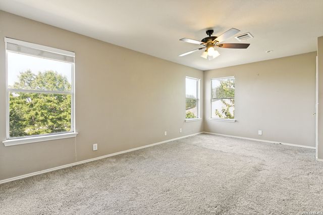 310 IBIS FALLS DR, New Braunfels, TX 78130