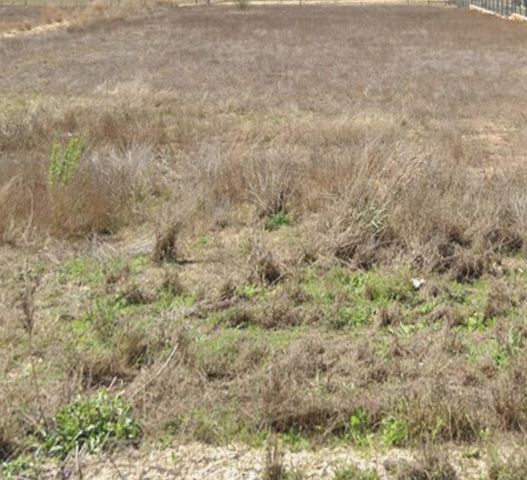 34721 Carries Creek, Bulverde, TX 78163
