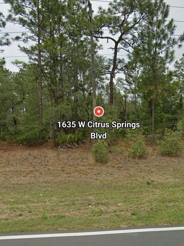 1635 W CITRUS SPRINGS BOULEVARD, Citrus Springs, FL 34434
