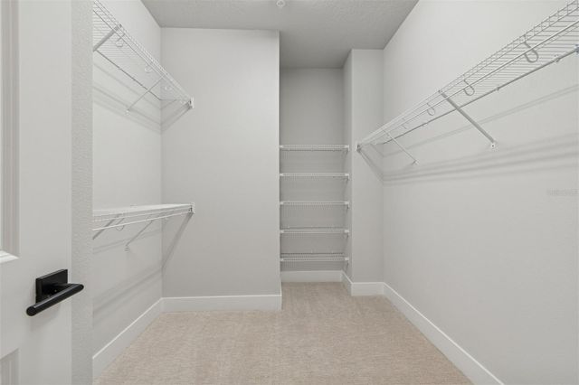 6605 N NEBRASKA AVENUE 16, Tampa, FL 33604