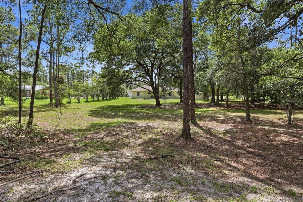 Image 36 of property listing at 1845 EAST PARKWAY, Deland, FL 32724