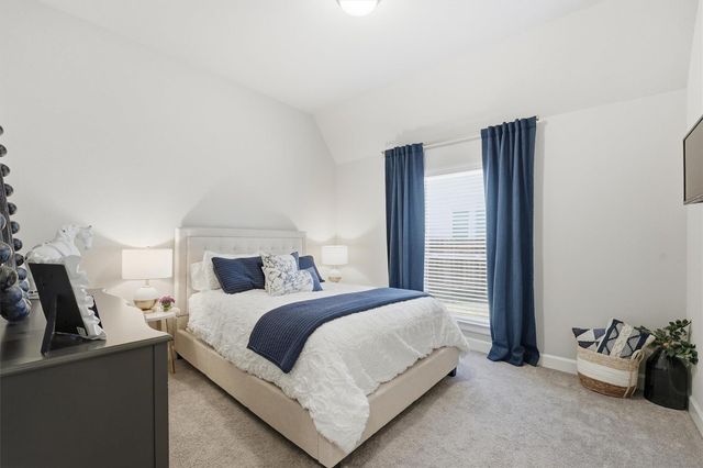 317 Sheridan Court, Montgomery, TX 77316