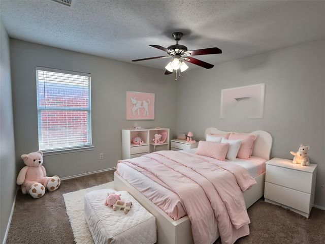 9924 Coolidge Drive, Mckinney, TX 75072