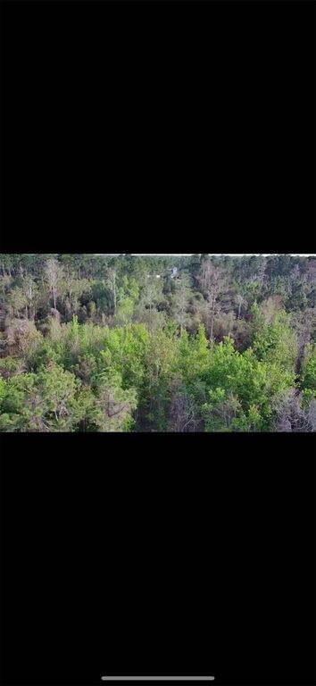 Image 3 of property listing at 4150 QUAIL NEST LANE, New Smyrna Beach, FL 32168