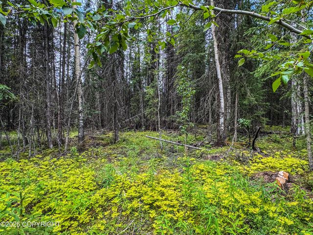 34224 Browns Lake Road, Soldotna, AK 99669