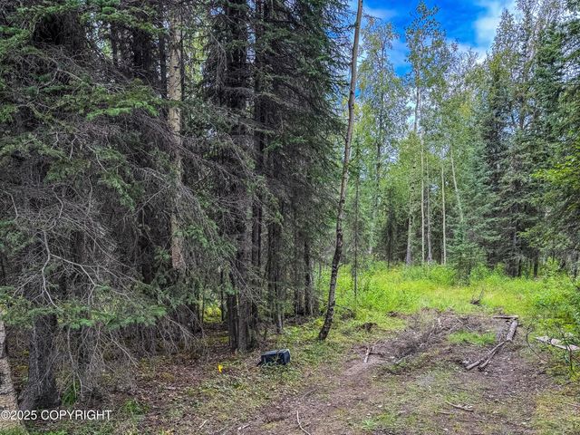34224 Browns Lake Road, Soldotna, AK 99669