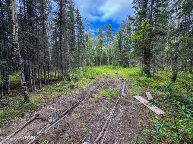 34224 Browns Lake Road, Soldotna, AK 99669