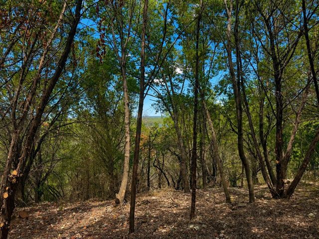 Lots 5 and 6 Courtside LN, Spicewood, TX 78669