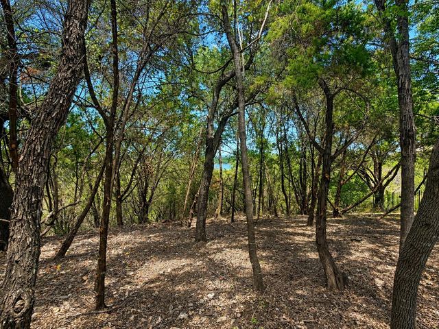 Lots 5 and 6 Courtside LN, Spicewood, TX 78669